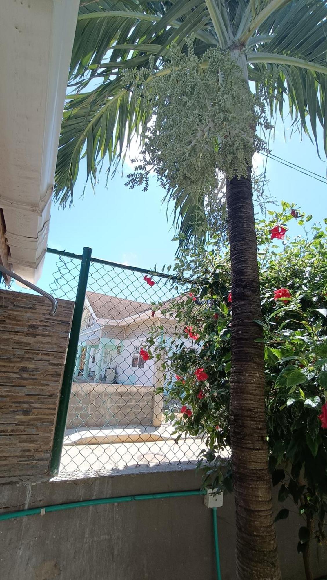 Jackuri Casa Hospedaje San Andres  Bagian luar foto
